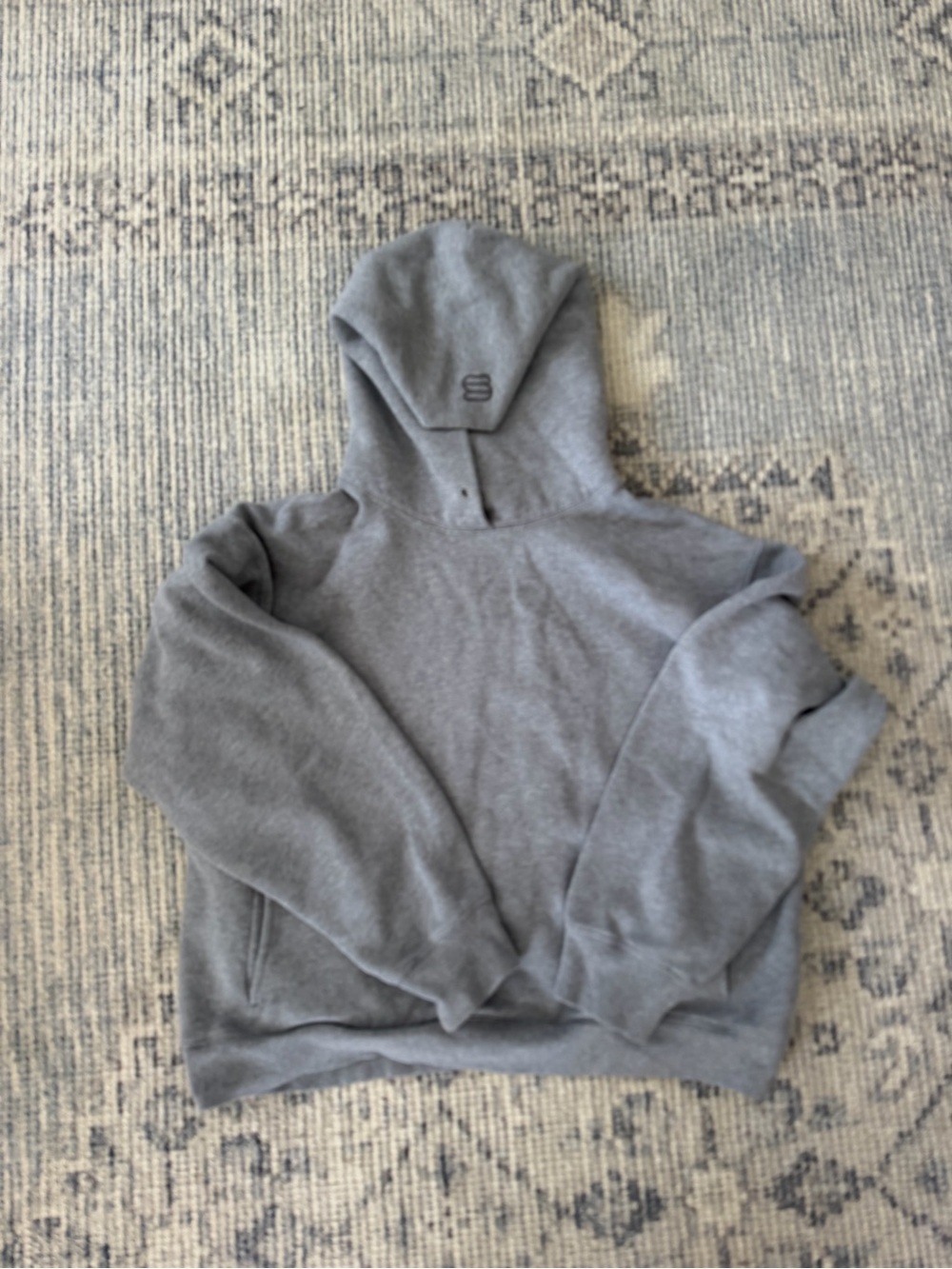 Aritzia Super World Heather Gray Hooded Pullover Sweatshirt